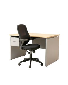 Ropp Ez-Style Desk And Chair Set (synthetic illustration; no displayed measurements)