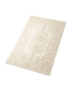 Youati Oriental Ivory Area Rug (synthetic illustration; no displayed measurements)