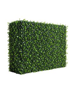 1.7 Ft. H X 1.7 Ft. W Artificial Wall Hedge Polyethylene Privacy Screen