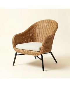 Alexus 29 '' Wide Papasan Chair (synthetic illustration; no displayed measurements)