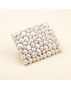 Lokahi 0.39 '' X 0.79 '' Seashell Random Mosaic Wall & Floor Tile (synthetic illustration; no displayed measurements)