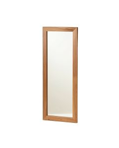 Alleghany Modern & Contemporary Full Length Mirror