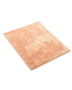 Ashton Shag Area Rug (synthetic illustration; no displayed measurements)
