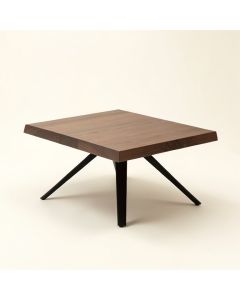 Rainey Coffee Table (synthetic illustration; no displayed measurements)