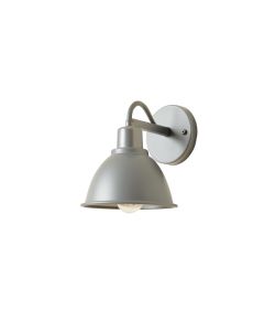 Fern Bend Wall Sconce Mounted On A Plain Wall - Gray (synthetic illustration; no displayed measurements)