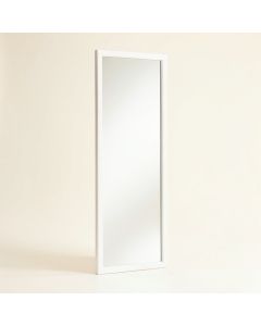 Toader On The Door Full Length Mirror (synthetic illustration; no displayed measurements)