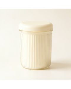 Holly Branch Storage Canister With Lid - Ivory (synthetic illustration; no displayed measurements)