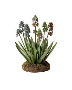 Suffolk Fairy Scilla Flower Garden Statue