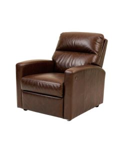 Dropati 29 '' Wide Power Lift Assist Home Theater Recliner (synthetic illustration; no displayed measurements)
