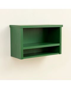 Cliff Canyon Wall-Mounted Shelf - Green (synthetic illustration; no displayed measurements)