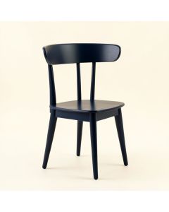 Bay Arc Dining Chair (synthetic illustration; no displayed measurements)