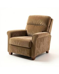 Bescott 37 '' Wide Chenille Power Lift Assist Standard Recliner (synthetic illustration; no displayed measurements)