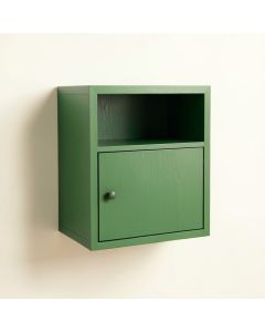 Wren Crest Wall-Mounted Entry Cabinet - Green (synthetic illustration; no displayed measurements)