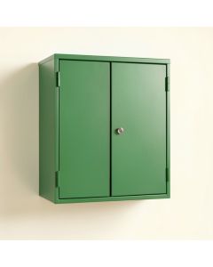 Stone Crossing Wall-Mounted Laundry Cabinet - Green (synthetic illustration; no displayed measurements)