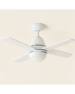 Ceiling Fan Light Kit (synthetic illustration; no displayed measurements)