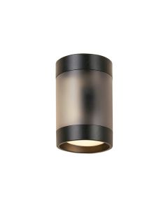 Socorro Outdoor Sconce