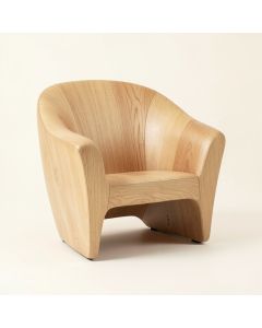 Modern Shell-Shaped Backrest Accent Chair (synthetic illustration; no displayed measurements)