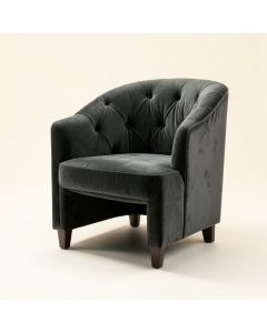 Auvray Tufted Velvet Side Chair (synthetic illustration; no displayed measurements)
