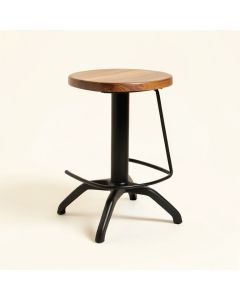 Elenora Swivel Solid Wood Bar & Counter Stool (synthetic illustration; no displayed measurements)