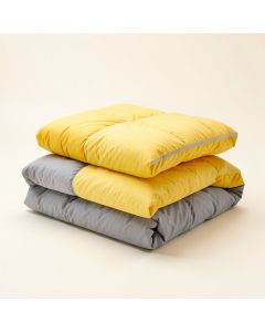 Eveready Comforter Set (synthetic illustration; no displayed measurements)