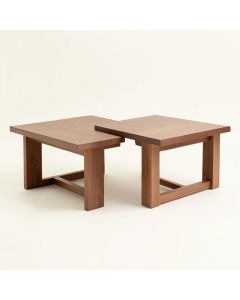 Solomon 2 Piece Coffee Table Set (synthetic illustration; no displayed measurements)