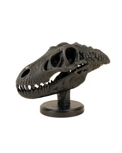 Dinosaur Skull With Base