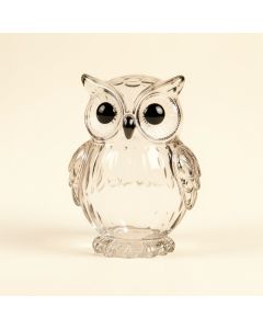 Avevia Glass Owl Figurine (synthetic illustration; no displayed measurements)