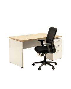 Aguanga Desk And Chair Set