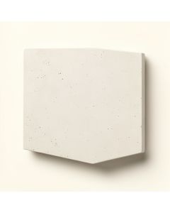 Solid Seashell 8 '' X 8 '' Cement Field Tile (synthetic illustration; no displayed measurements)