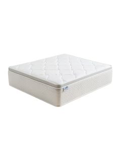 Sealy 10 '' Medium Graphite Infused Gel Memory Foam Mattress