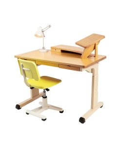 Kids Desk And Chair Set