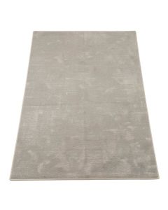 Trickett Silver Area Rug