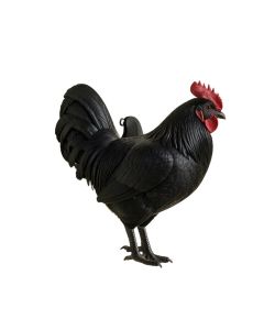 Tuten Rooster Overdoor Wall Décor