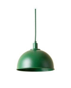 Fern Bridge Pendant Light Suspended From One Plain Cable - Green (synthetic illustration; no displayed measurements)