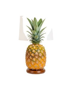 Pineapple 23.5 '' Table Lamp (synthetic illustration; no displayed measurements)