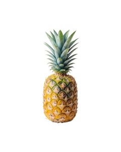 Pineapple By Suren Nersisyan - Painting Print On Canvas