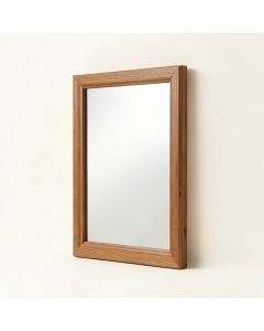 Shrader Stylish Dressing Accent Mirror (synthetic illustration; no displayed measurements)