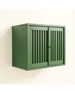 Birch Canyon Wall-Mounted Entry Cabinet - Green (synthetic illustration; no displayed measurements)