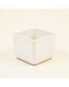 Fern Bridge Empty Planter - White (synthetic illustration; no displayed measurements)