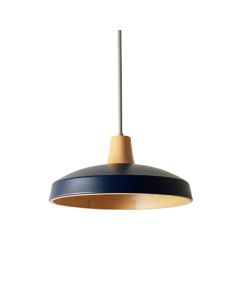 Moss Branch Pendant Light Suspended From One Plain Cable - Navy (synthetic illustration; no displayed measurements)
