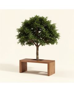 Patricia Hall Tree With Bench (synthetic illustration; no displayed measurements)