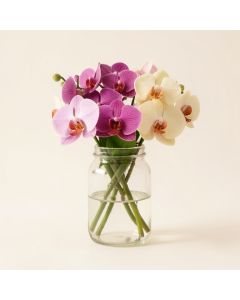 Orchids Floral Arrangement In Glass Jars (synthetic illustration; no displayed measurements)