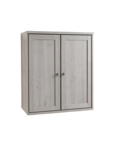 Moss Crossing Wall-Mounted Entry Cabinet - Gray (synthetic illustration; no displayed measurements)