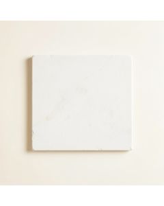 Willow Branch Uninstalled Square Decorative Tile - White (synthetic illustration; no displayed measurements)