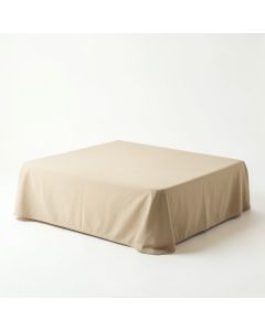 Dawn Branch Flat Bed Sheet - Beige (synthetic illustration; no displayed measurements)