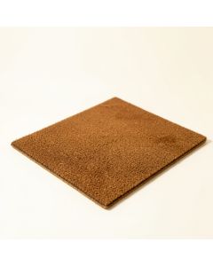 Salsbury Welcome Coir Non-Slip Outdoor Door Mat (synthetic illustration; no displayed measurements)