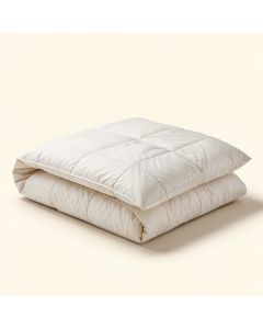 Anahita Comforter Set (synthetic illustration; no displayed measurements)