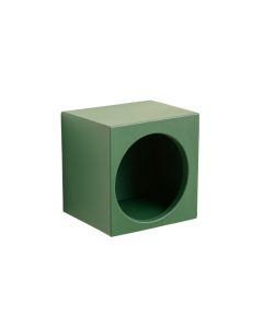 Heath Canyon Wall-Mounted Cat Perch - Green