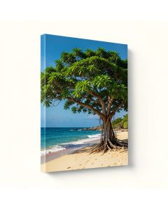 Green Tree On Beach In Kauai Hawaii Photographic Print On Wrapped Canvas (synthetic illustration; no displayed measurements)