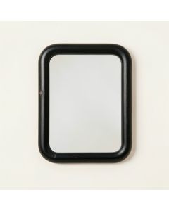 Pine Branch Framed Wall Mirror - Black (synthetic illustration; no displayed measurements)